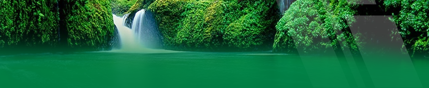 Banner trang con