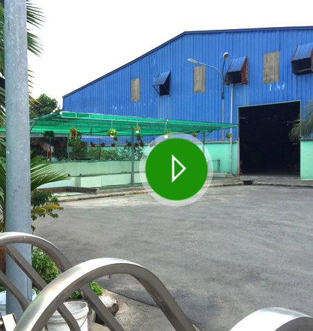 Video Home
